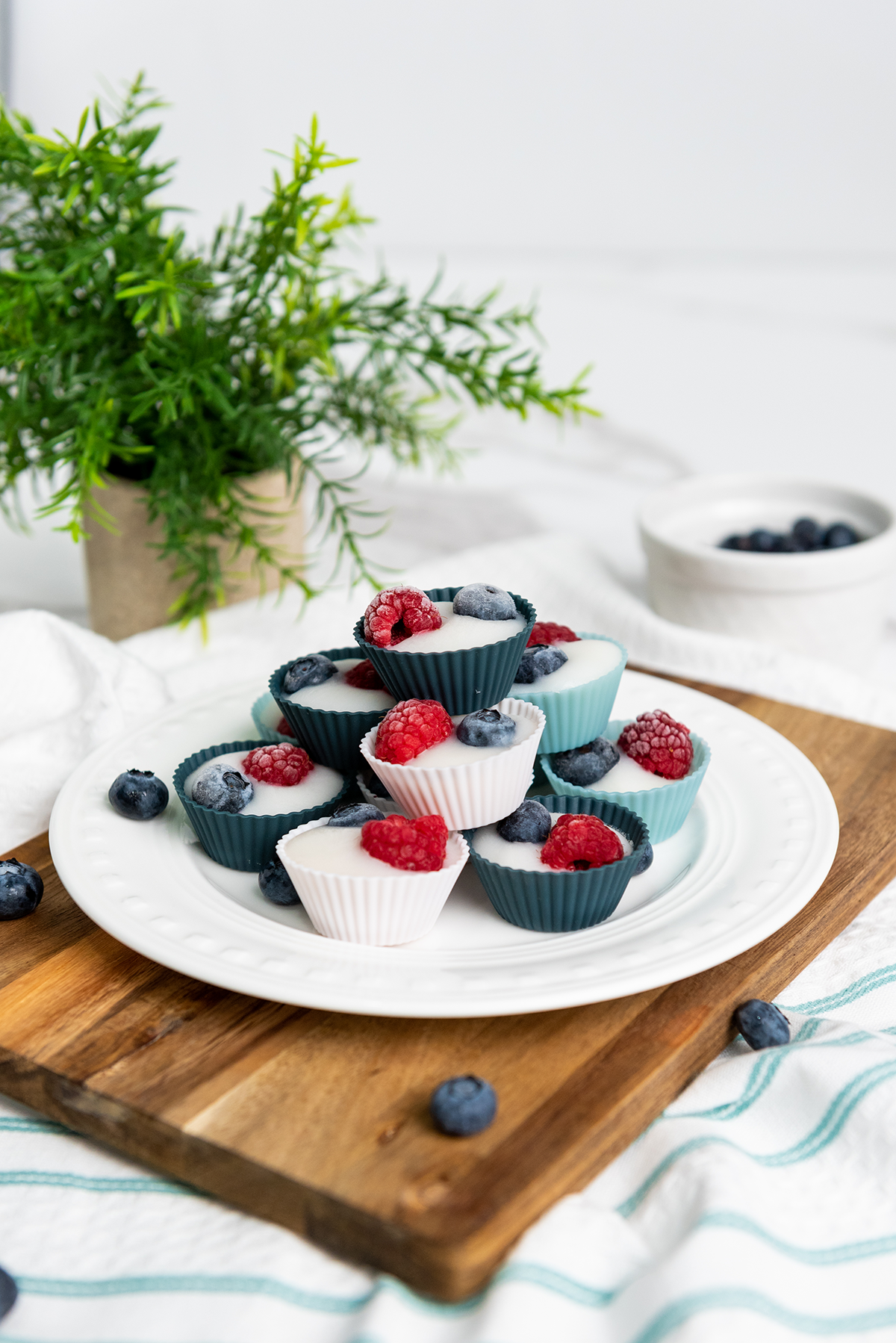 A side view of frozen berry yogurt bites on a white plate with a plant and kitchen towel in the background.