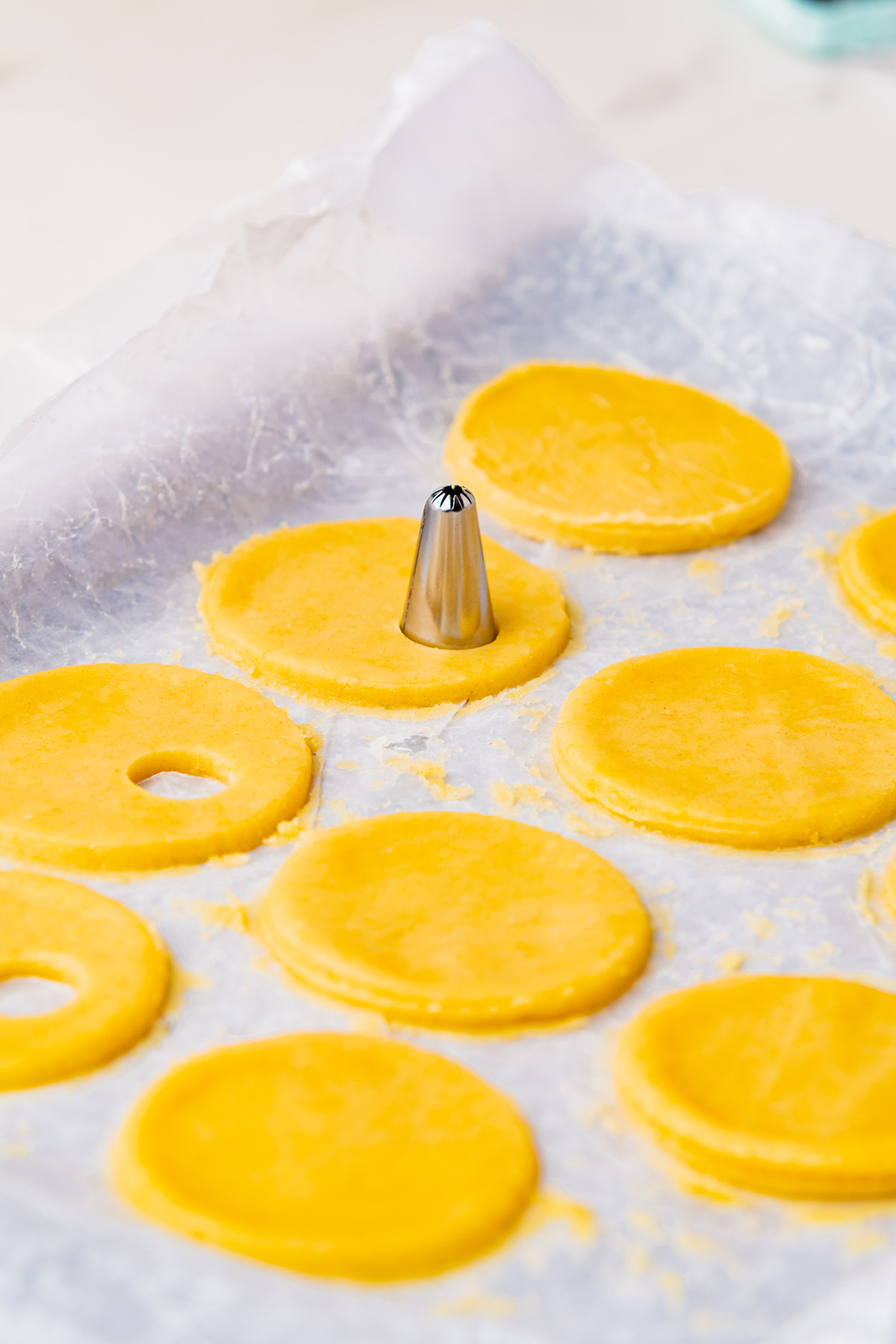 Round linzer cookie dough cut-outs on a baking sheet with a piping tip used to punch out the center for rudolph linzer cookies.