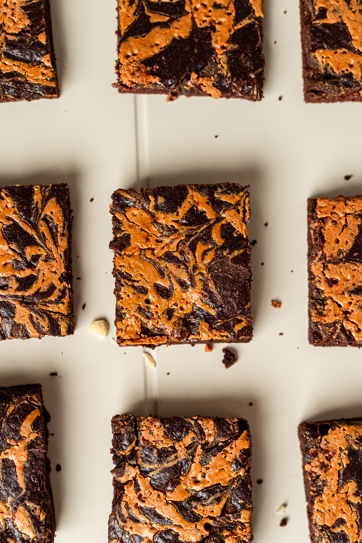 Close up of fudgy chocolate peanut butter swirl brownie square showing marbled peanut butter topping.